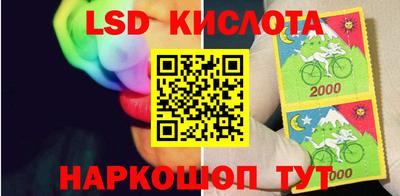 ПСИЛОЦИБИНОВЫЕ ГРИБЫ Ярославль