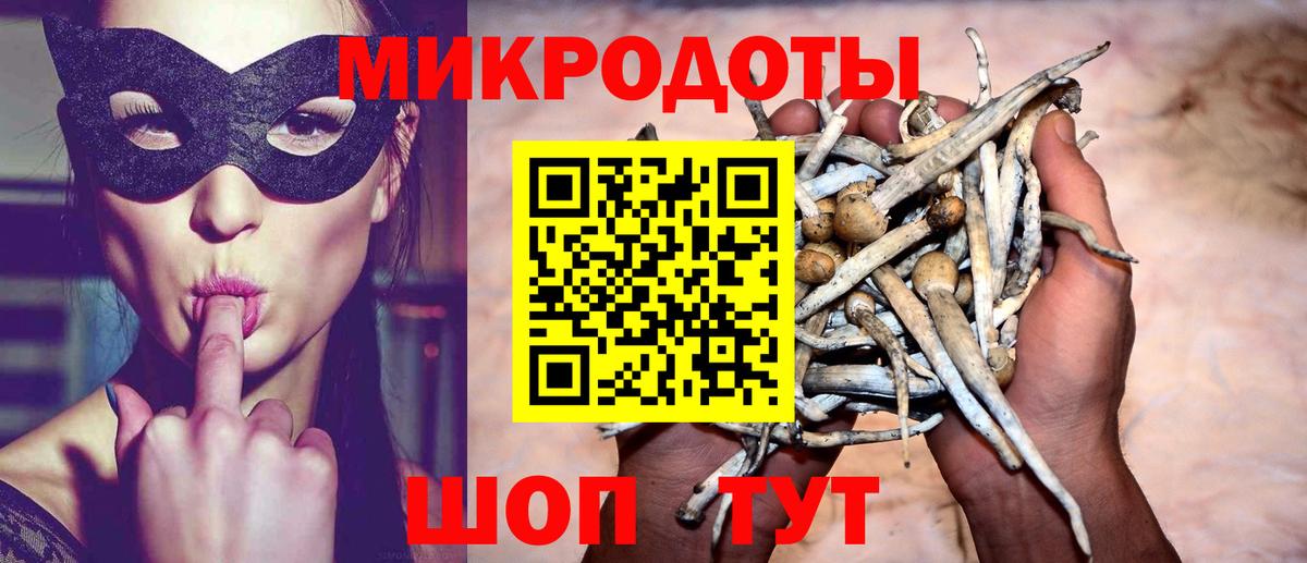 Псилоцибиновые грибы MAGIC MUSHROOMS Полысаево